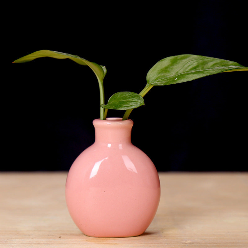Miniature Ceramic Plant Holder Bowlift