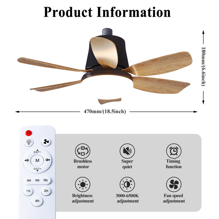 Ceiling Fan