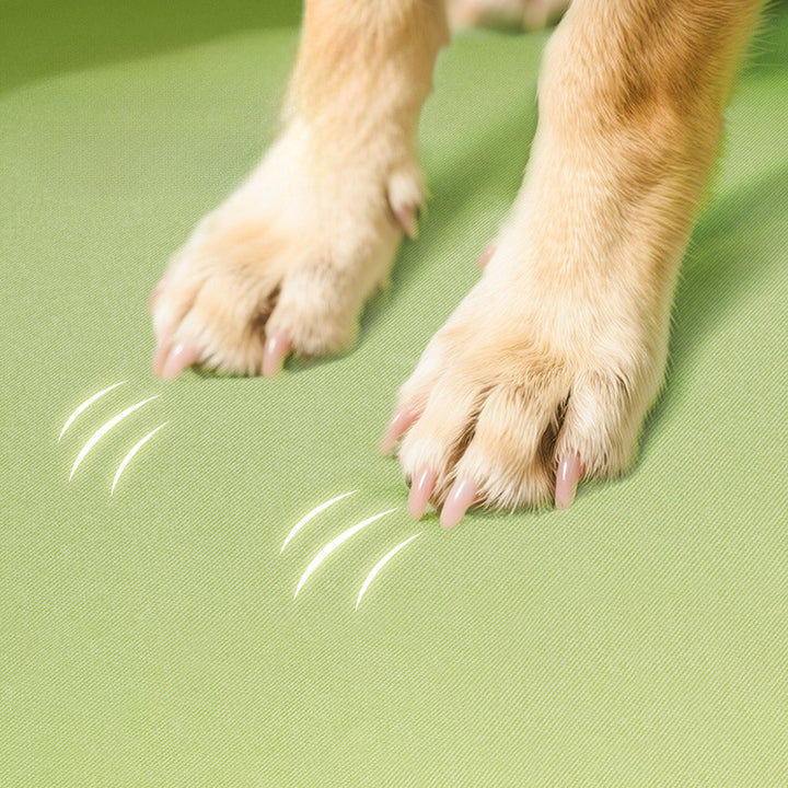 Orthopedic Dog Bed Cushion