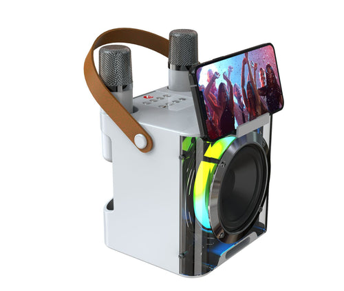 Karaoke Speaker System with Dual Microphones Bowlift