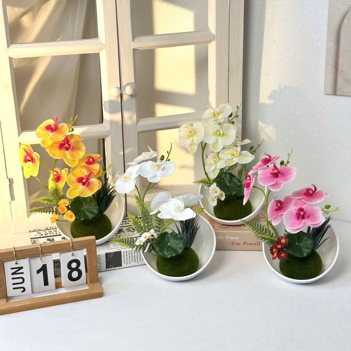 Elegant Orchid Arrangement