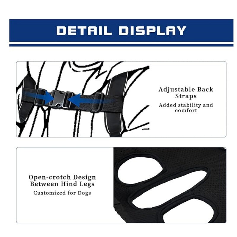 Harness for Small Dogs Bowlift
