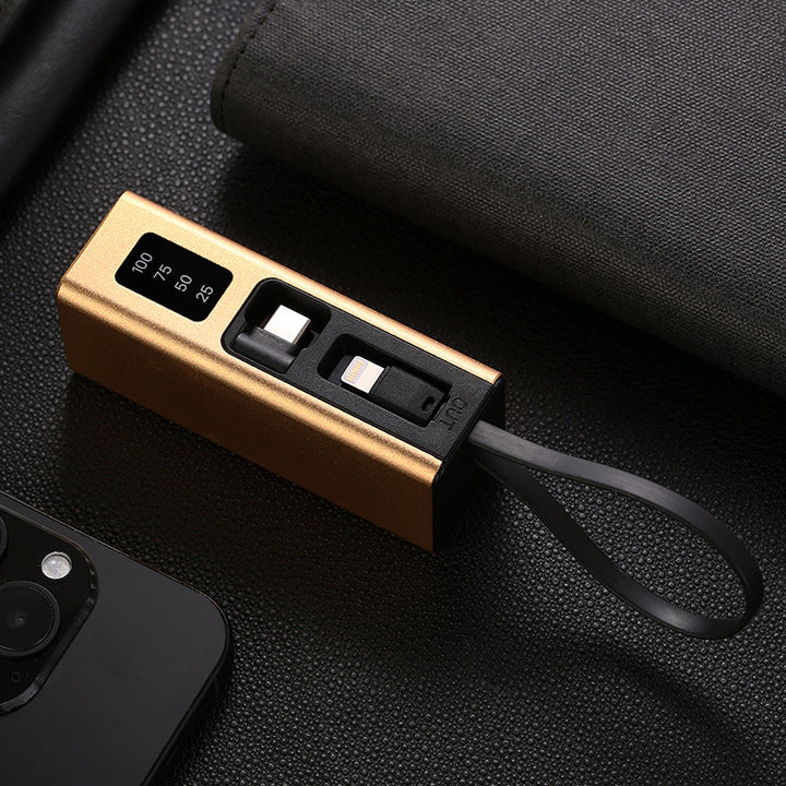 Multifunctional charger with integrated USB cable and LED display Bowlift