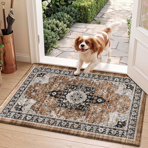 Elegant Persian-Inspired Entrance Mat Bowlift