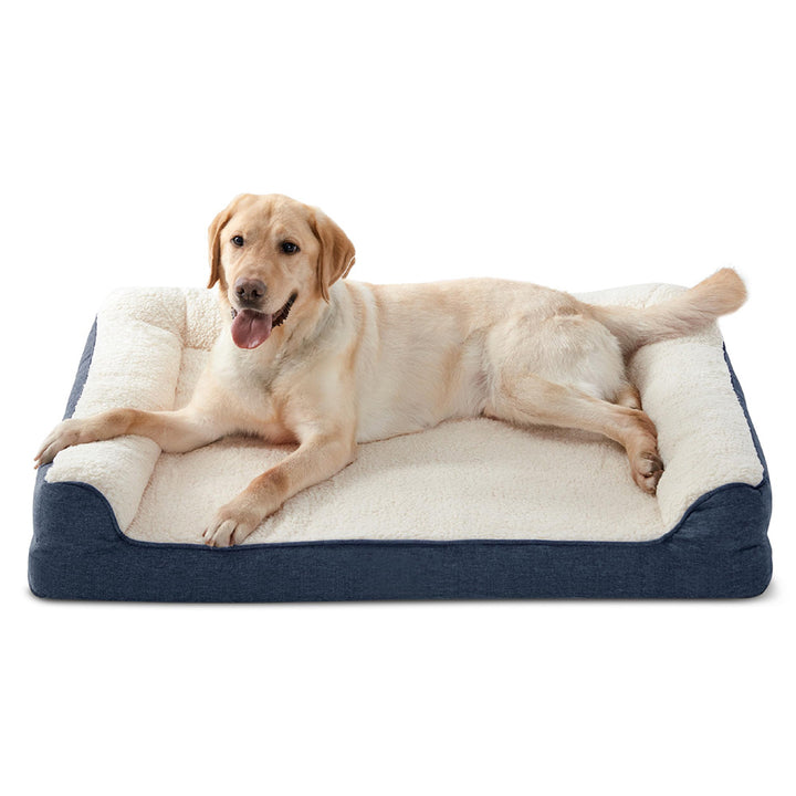 Plush Bolstered Dog Bed