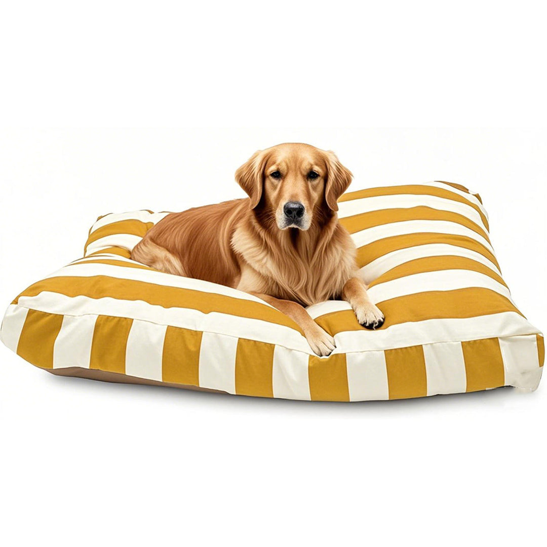 Orthopedic Plush Dog Bed Cushion