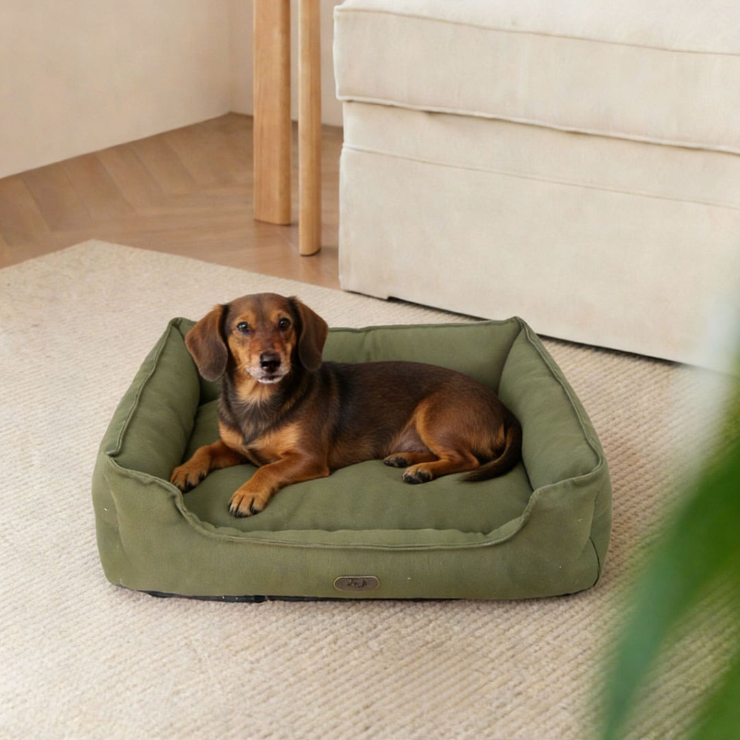 Durable Outdoor dog bed