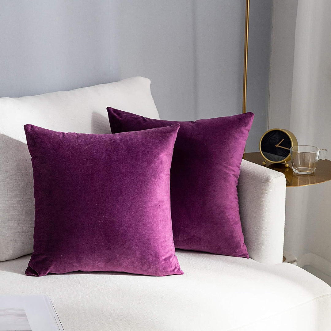 Velvet Square Decorative Throw Pillow Set Bowlift