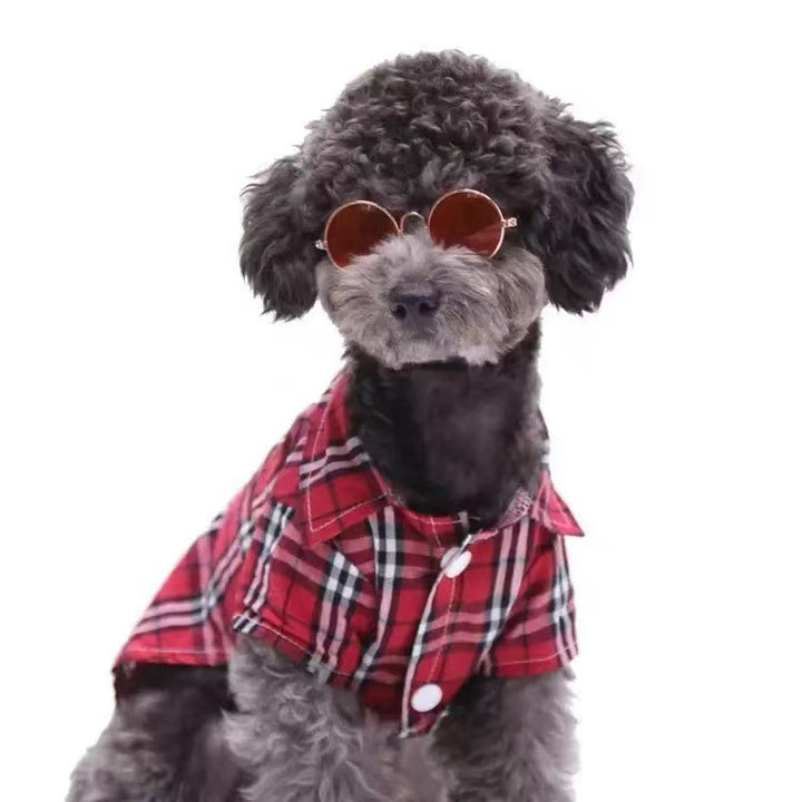Pet Sunglasses Bowlift