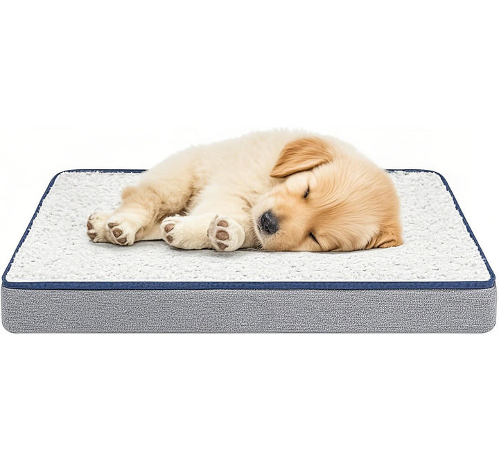 Memory Foam Dog Bed