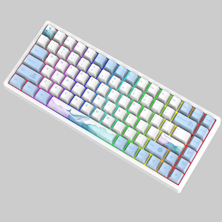 Wireless Gaming Mechanical Keyboard Bowlift