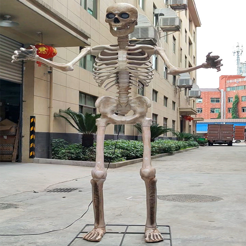 Life-Size Anatomical Skeleton Prop Bowlift
