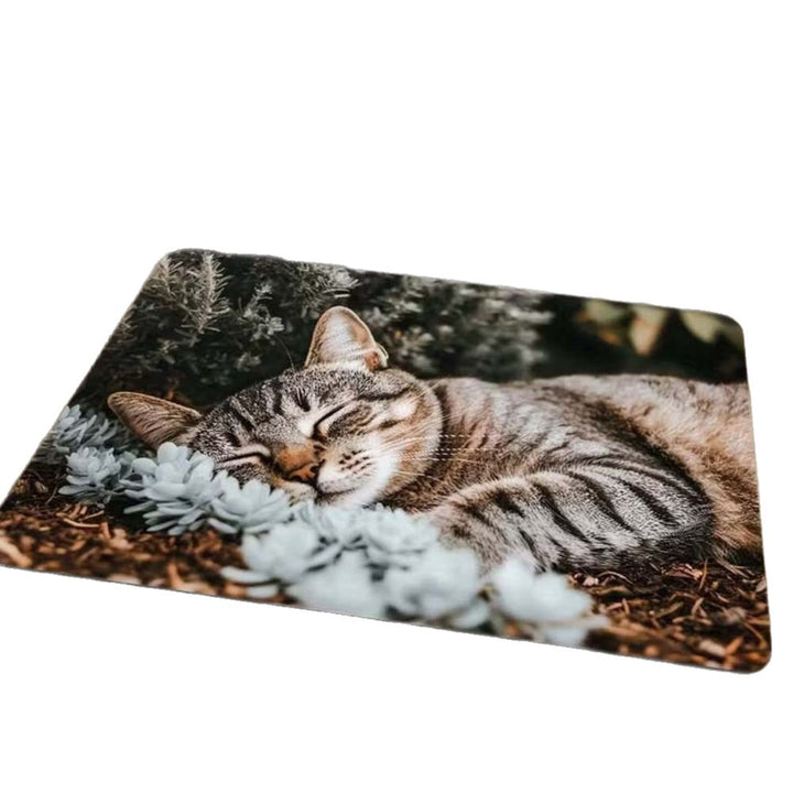 Decorative Cat Welcome Mat Bowlift