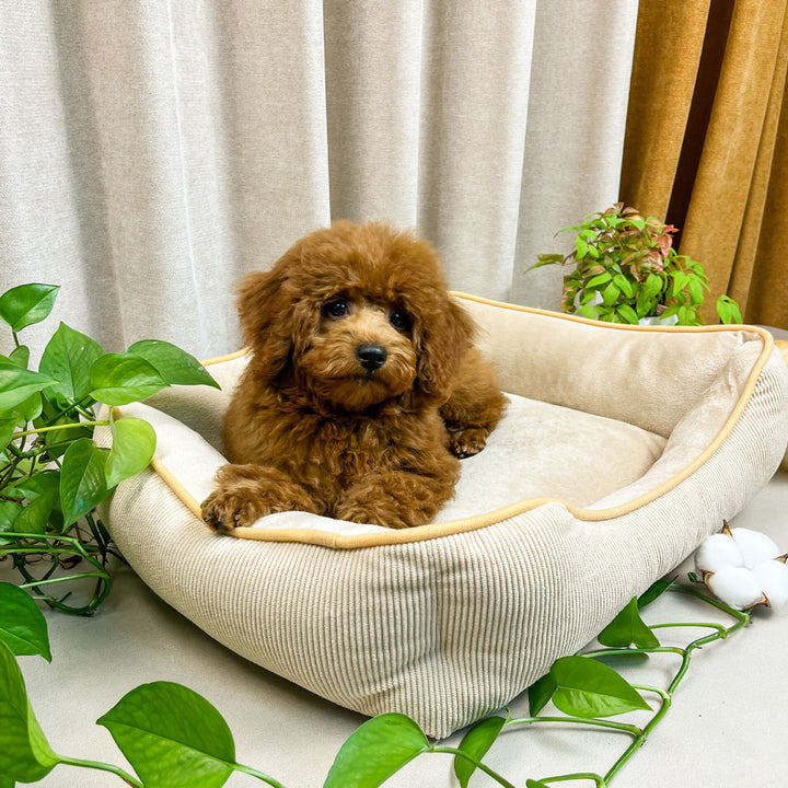 Cozy Corduroy Dog Bed