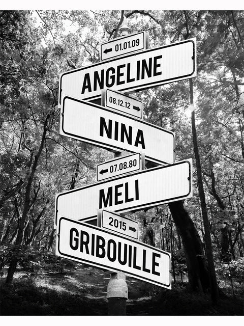Customizable Directional Street Sign Wall Plaque With Removable Name Panels And Date Tags