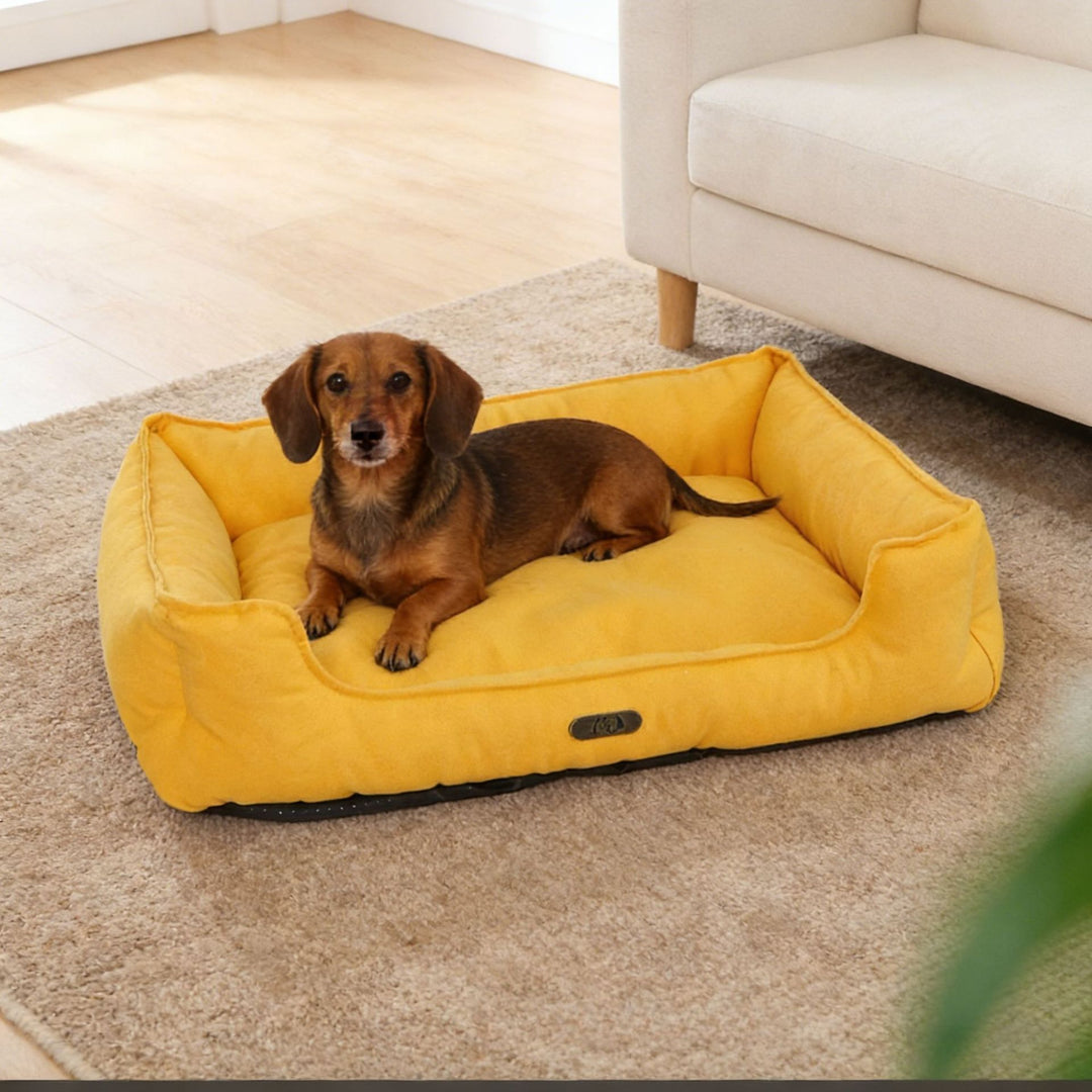 Premium Outdoor dog bed