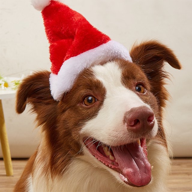 Festive Christmas hat