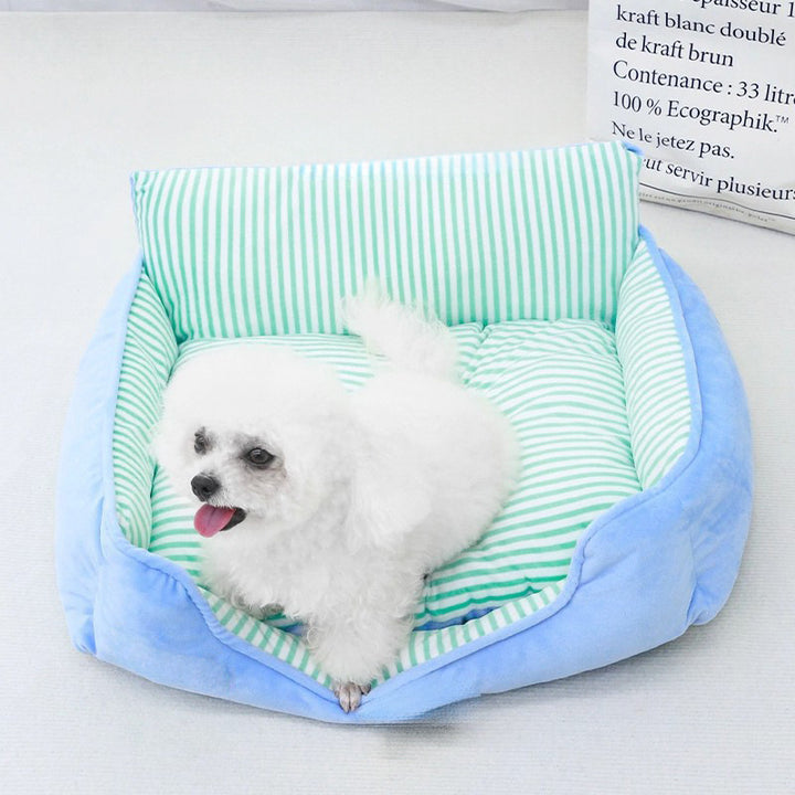 Comfortable Elevated Dog Bed