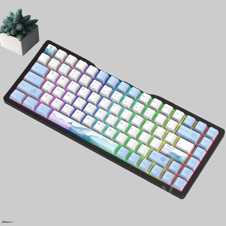 Wireless Gaming Mechanical Keyboard Bowlift