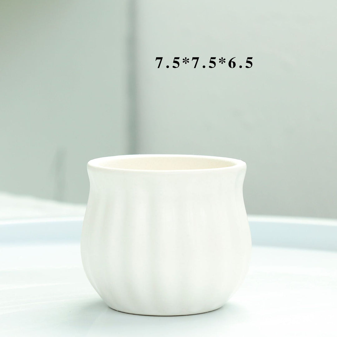 Modern Round Ceramic Planter Bowlift