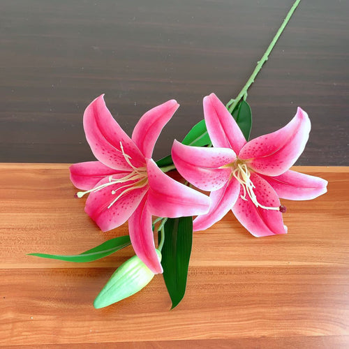 Realistic Floral Lily Stem
