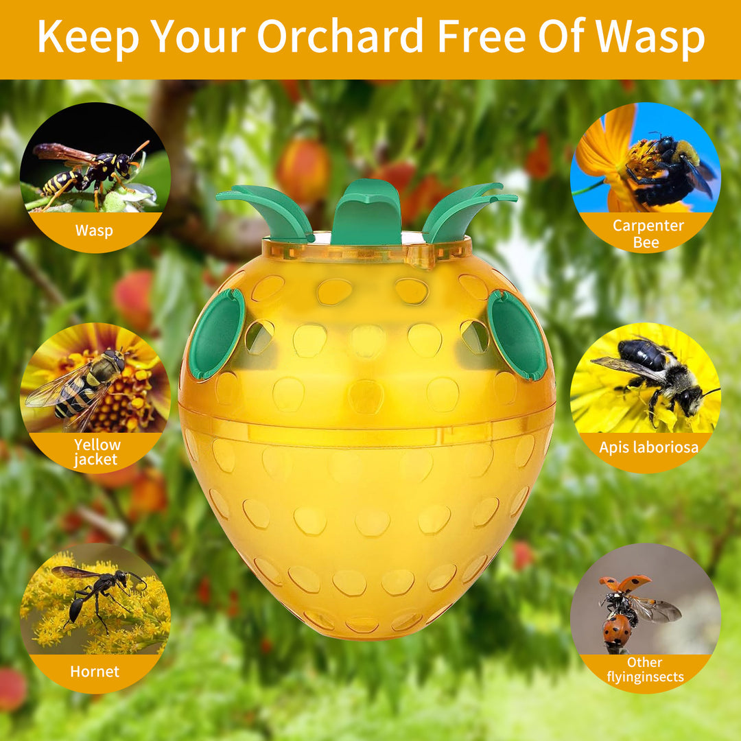 Attractive Insect Trap Bowlift