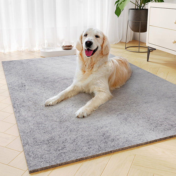 Durable Pet-Themed Comfort Mat Bowlift