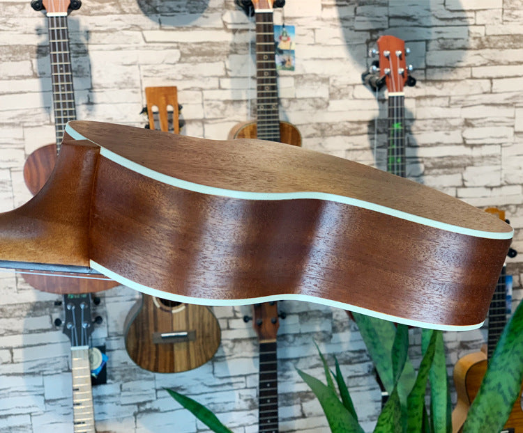 Acoustic Ukulele Bowlift