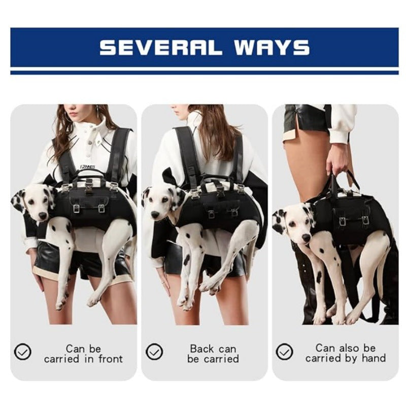 Harness for Small Dogs Bowlift