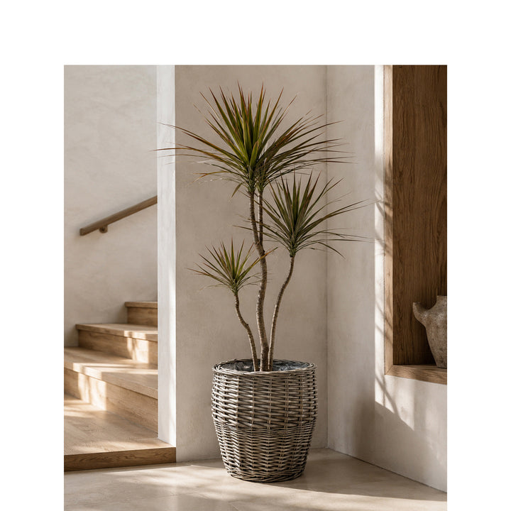 Decorative Laundry Basket Bowlift