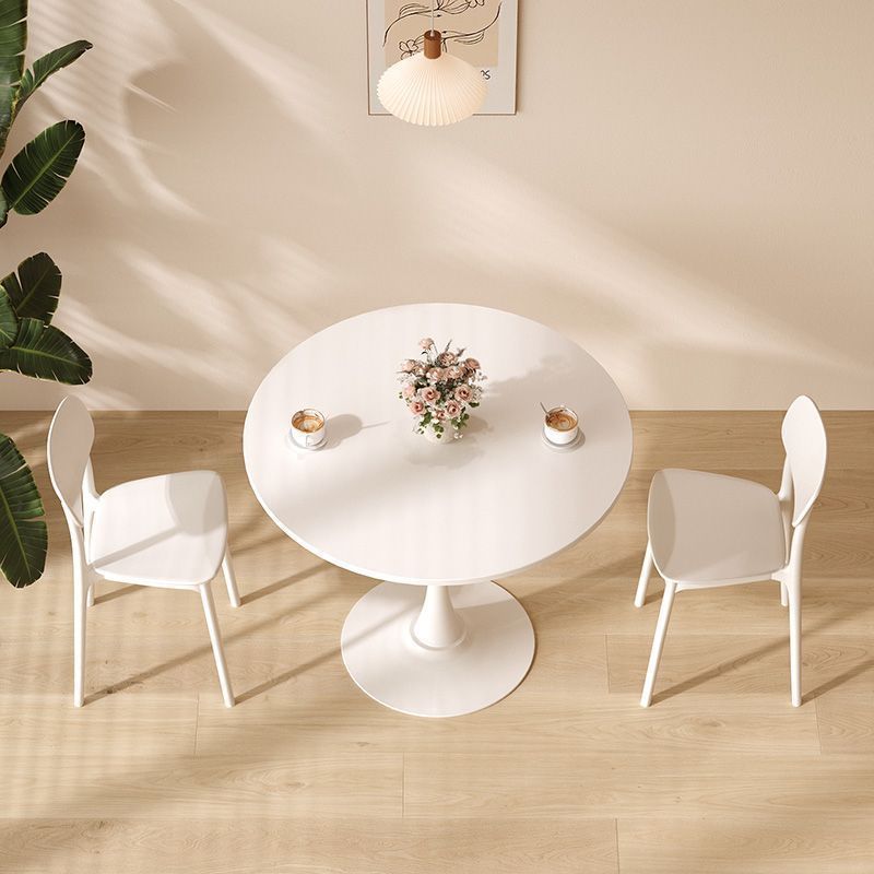 Modern Ergonomic Dining Chair Bowlift
