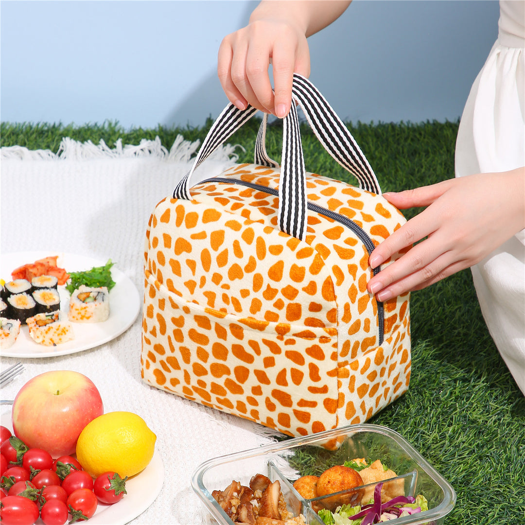 Stylish Insulated Lunch Box Bowlift