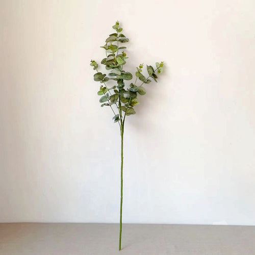 Decorative Eucalyptus Stem