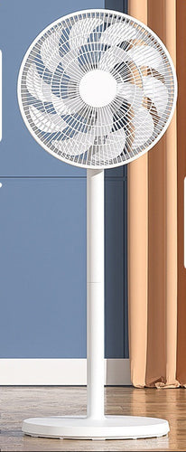 Ladies Stand Fan Bowlift