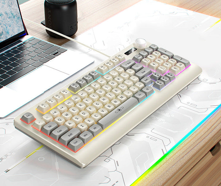 Retro RGB Mechanical Keyboard and Optical Gaming Mouse Set Bowlift