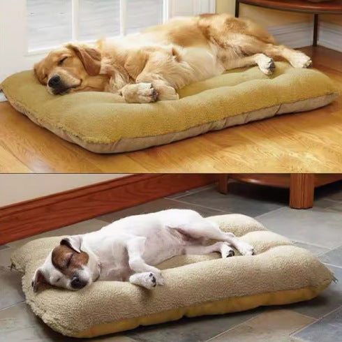 Orthopedic Dog Bed