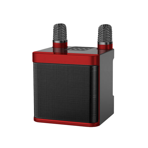 Wireless Karaoke Speaker System with Dual Microphones Bowlift