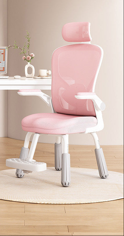 Ergonomic Study Chair Bowlift