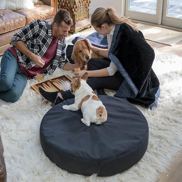 Dog Bed