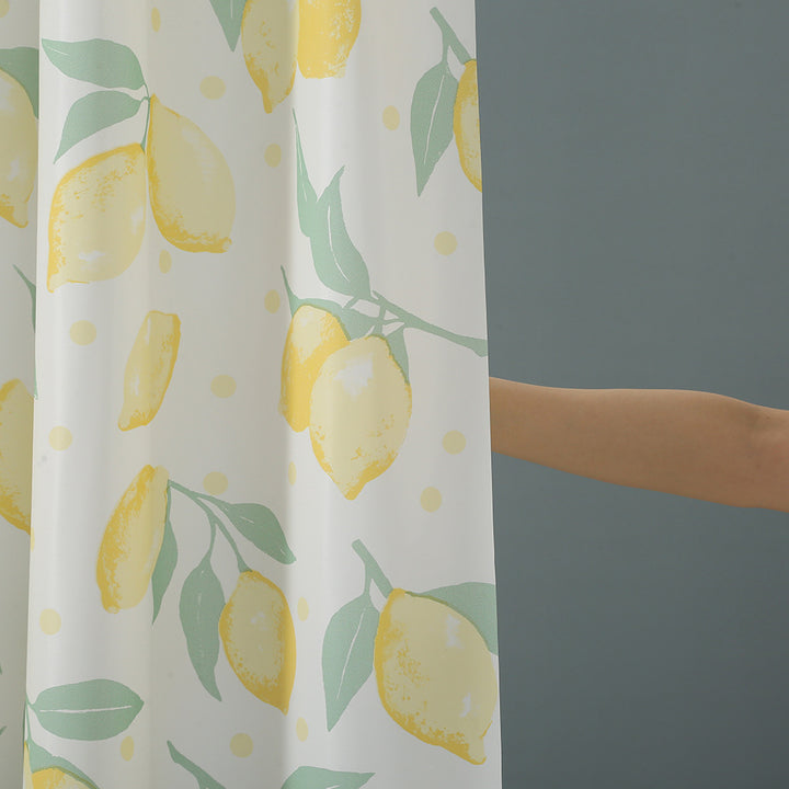 Dolphin Design Shower Curtain Bowlift