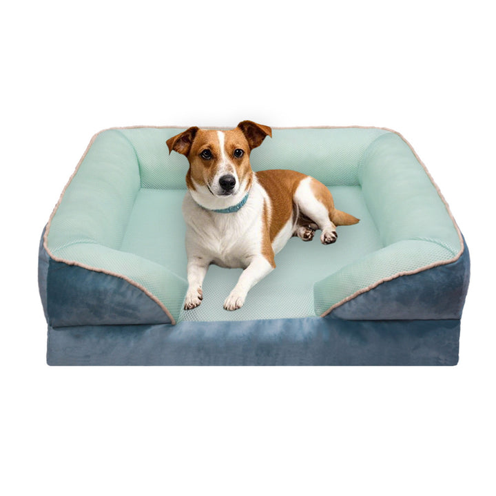 Orthopedic Elevated Dog Bed