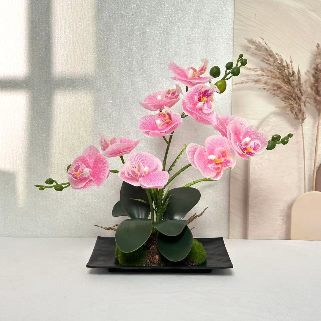 Orchid Flower Arrangement