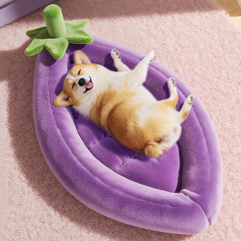 Fun-Shaped Dog Bed