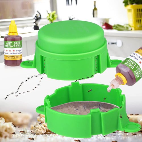 Ant wasp trap with refill system Bowlift