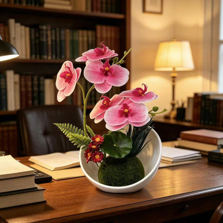 Elegant Orchid Arrangement