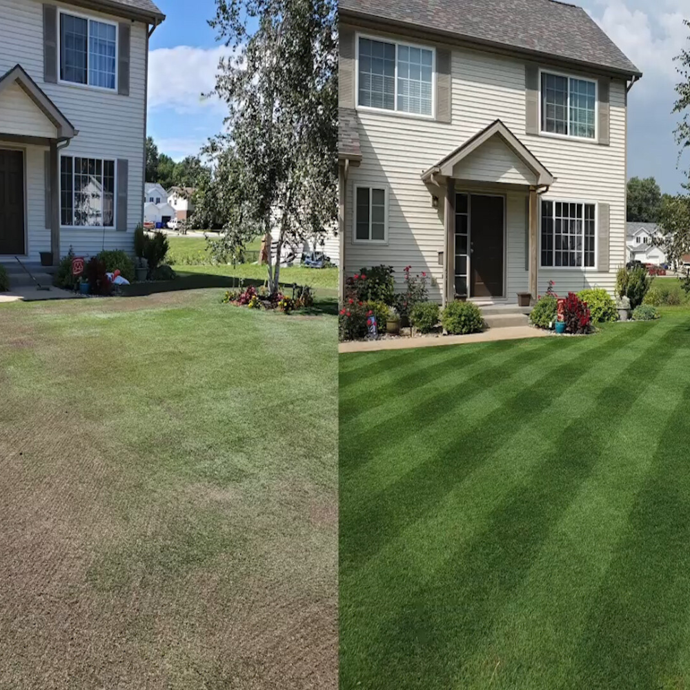 Green Grass Growth Spray | Spray your new lawn! | Bowlift