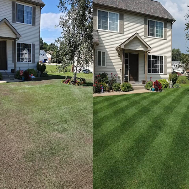 Green Grass Growth Spray | Spray your new lawn! | Bowlift