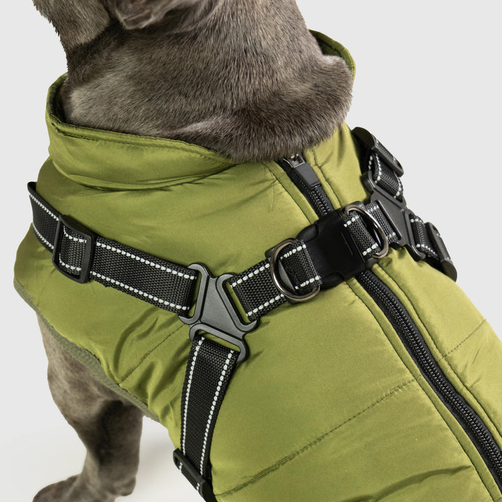 BowLift | Waterproof Dog Jacket with Built-in Harness – Warm, Weather-resistant Dog Jacket for All Breeds