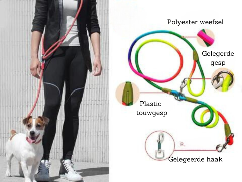 FreedomLeash – Innovative Hands-Free Dog Leash Bowlift