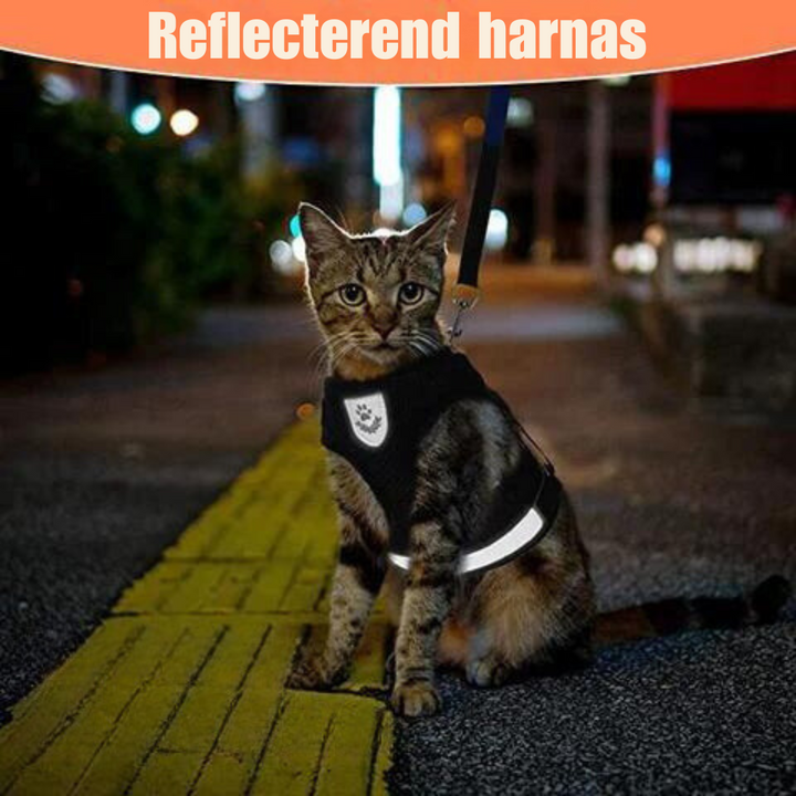 BowLift | Reflective Cat Harness and Leash Set with Adjustable Straps for Safe Night Adventures – Comfortable Fit for Cats and Kittens